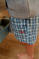 Charlie Check Shorts